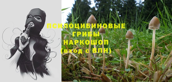 спайс Верхний Тагил