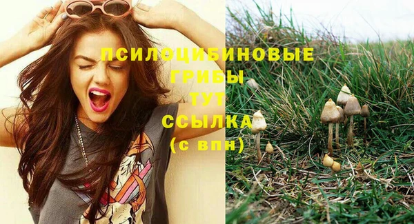 прущие крисы Верея