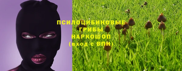 прущие крисы Верея